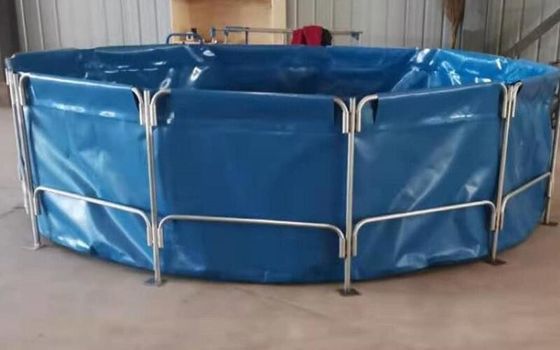танка сельского хозяйства рыб тилапии брезента PVC диаметра 4m садок для рыбы складного складный