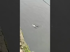 Рыболовная приманка полный плавательный слой поддельная приманка море и пресной воды