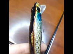 Пластиковые приманки Морская рыбалка на дальнем расстоянии бросать жёсткую приманку