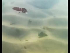 Приманки для червей-кровососов, плавающие на всю глубину, воблер с несколькими сочленениями