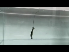 ПВХ Голец Мягкие Приманки Силиконовые Поддельные Мягкие Приманки Рыболовные Приманки